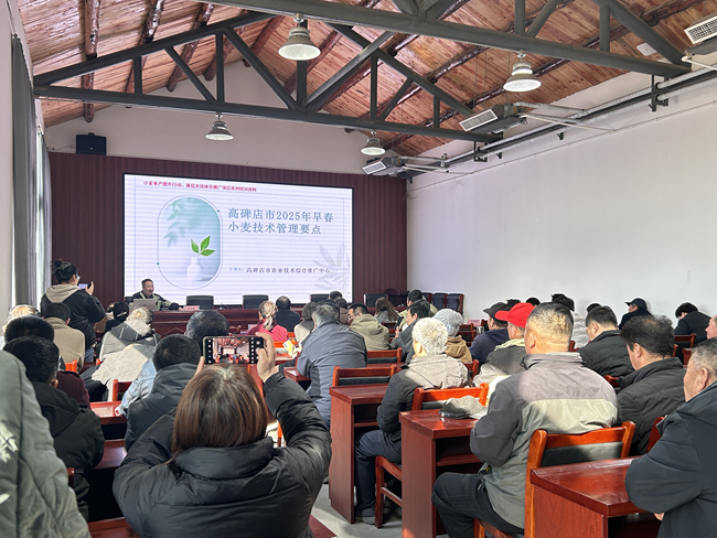 图片1 (Copy).png